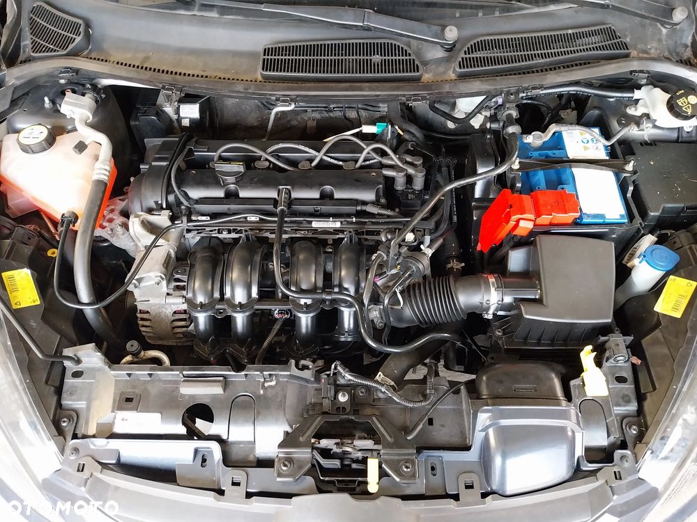 Ford Fiesta 1.25 Champions Edition - 15