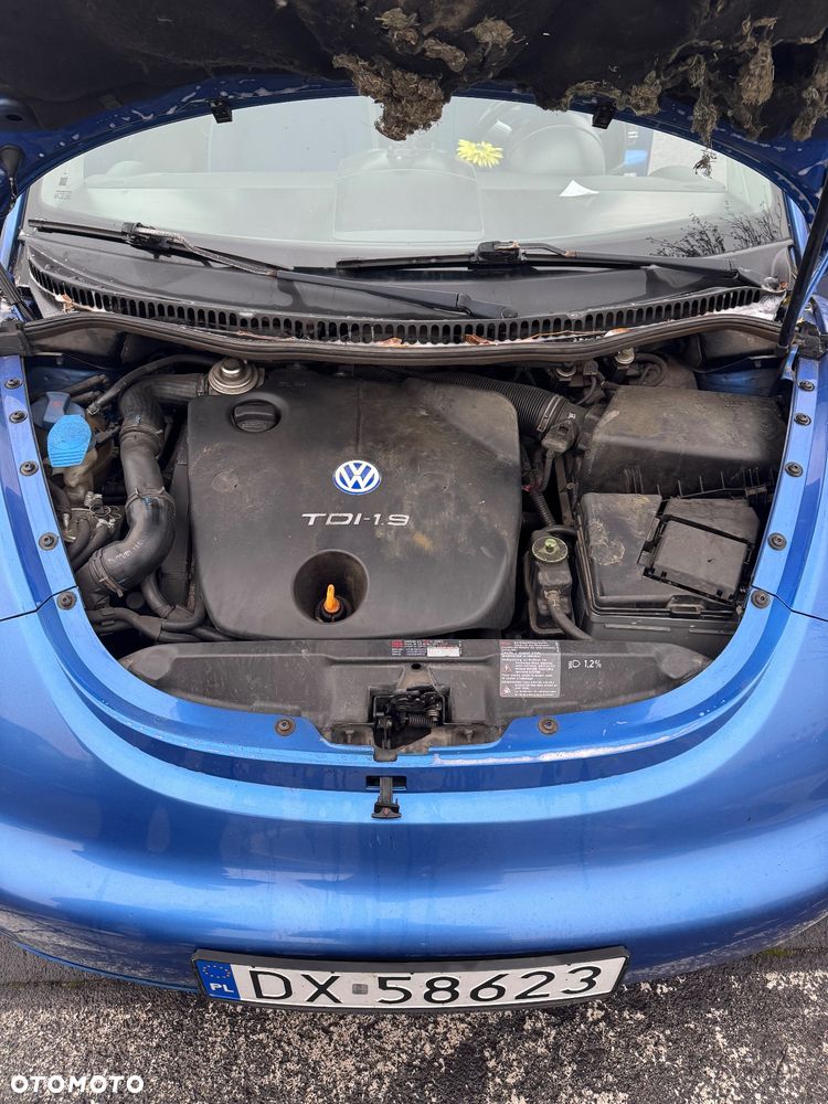 Volkswagen New Beetle - 7