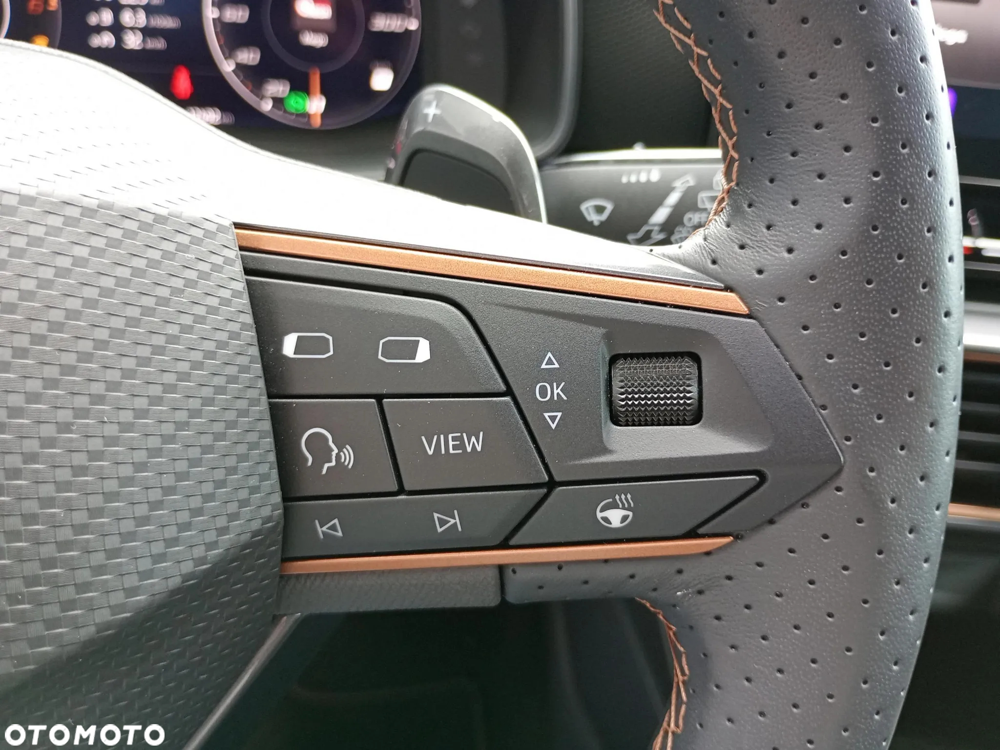 Cupra Leon 2.0 TDI DSG - 16