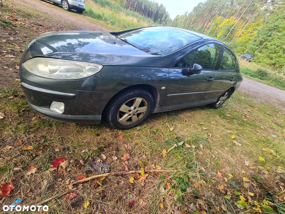 Peugeot 407 - 2