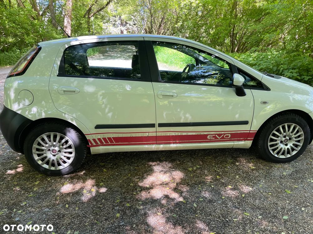 Fiat Punto 1.3 Multijet Easy - 3