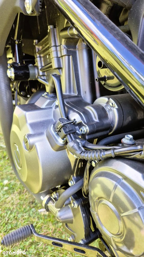 Benelli TRK 502 - 21