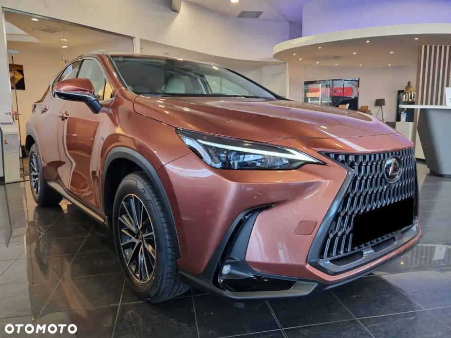 Lexus NX - 4