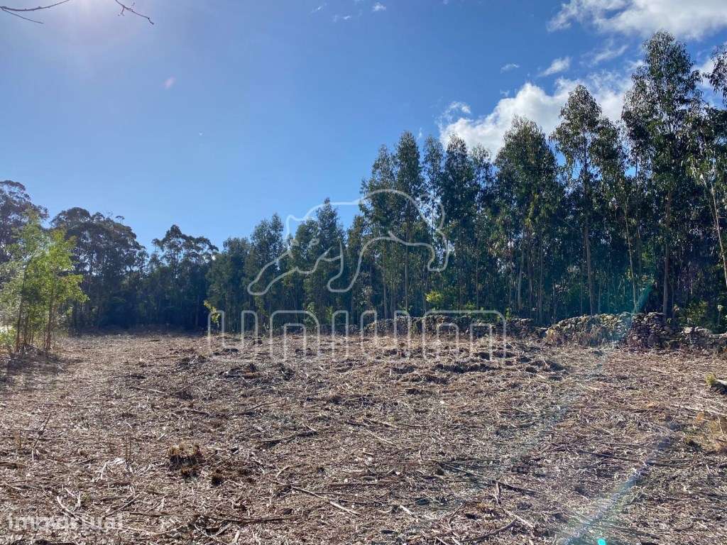 Terreno para construção perto de Stº Antão - Caminha - Grande imagem: 4/9