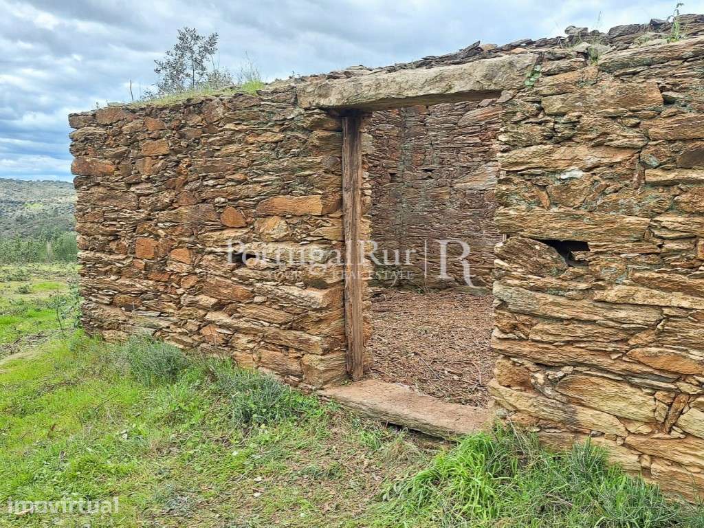 Propriedade com 3,5 ha e construções para recuperar - Grande imagem: 4/27