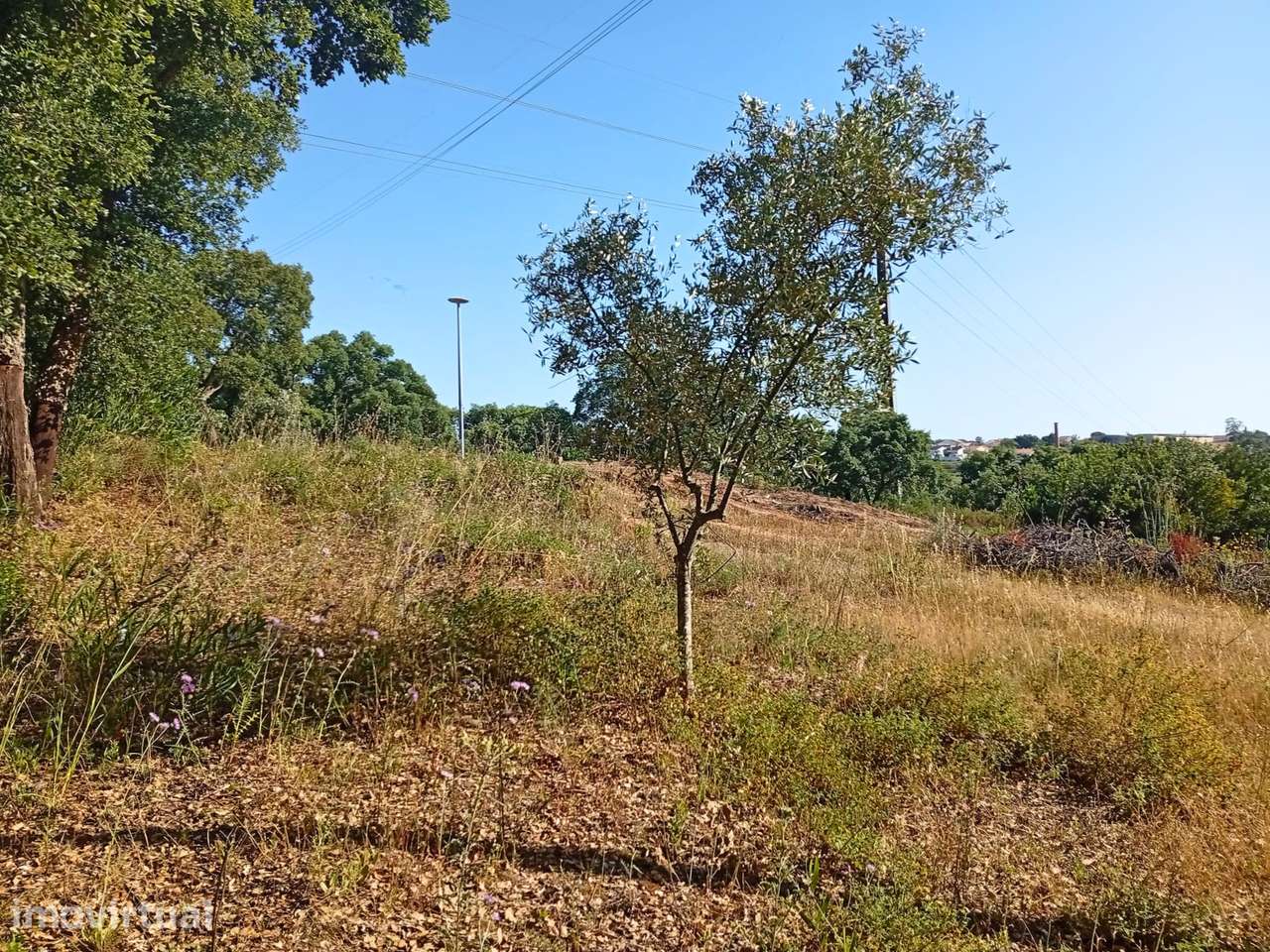 Lote de terreno em Santarém - Grande imagem: 5/5
