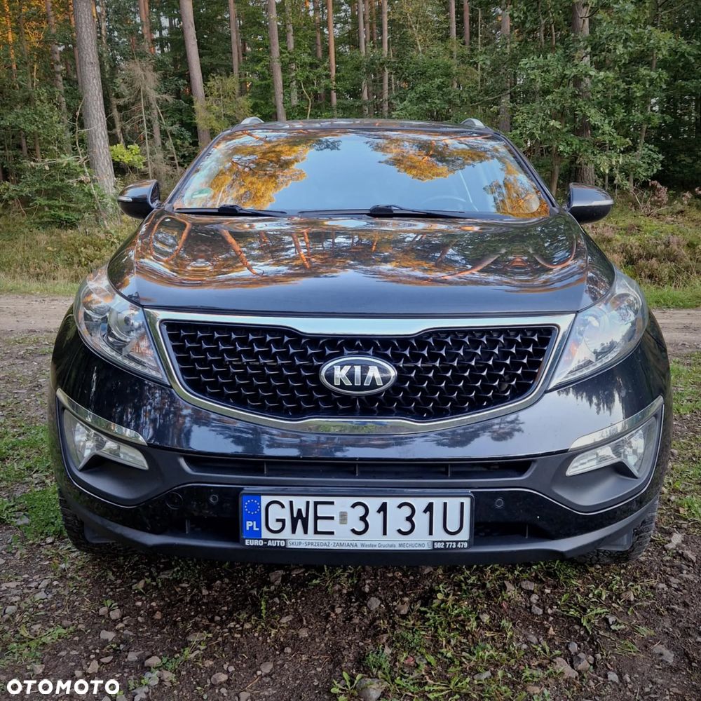 Kia Sportage - 1