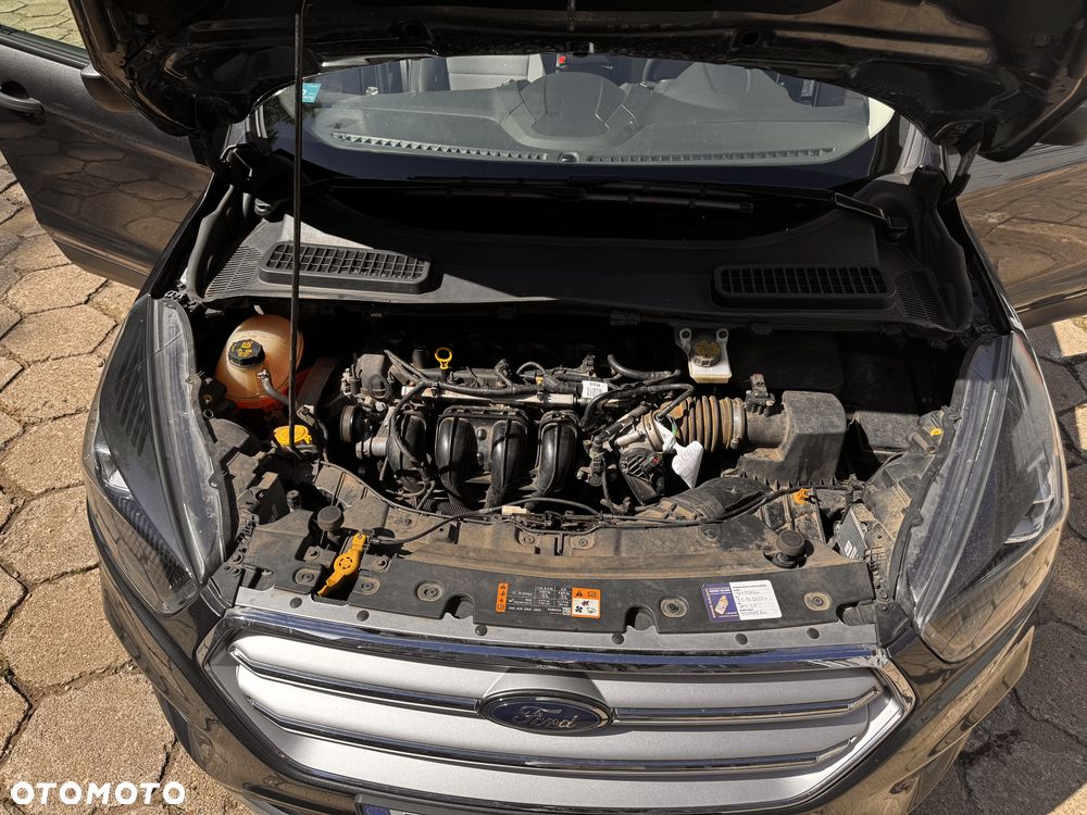 Ford Escape - 19