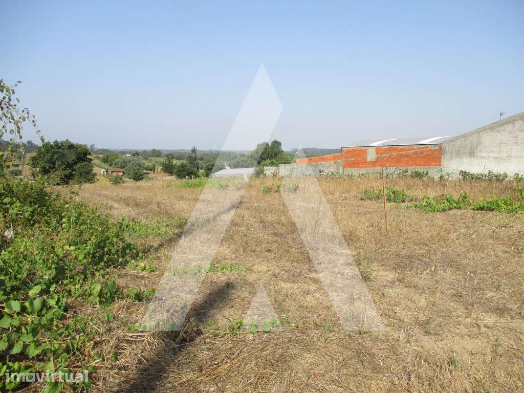 Terreno em Fermentelos - Grande imagem: 4/6