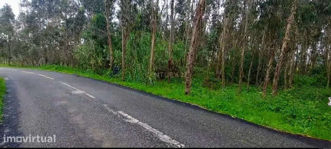 Terreno Rústico, inserido em uma zona tranquila no Paião, 14 minutos d - Grande imagem: 2/5