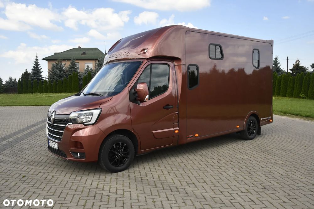 Renault Master Koniowóz - 10