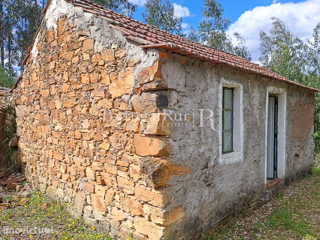 Quinta de 30.000m2 com ruínas e poços na Sertã - Grande imagem: 2/32