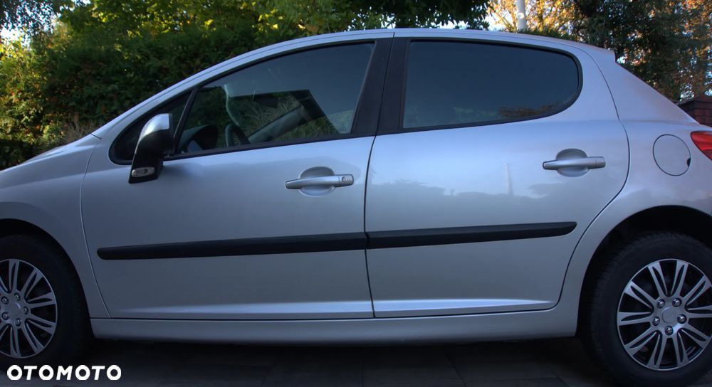 Peugeot 207 - 14