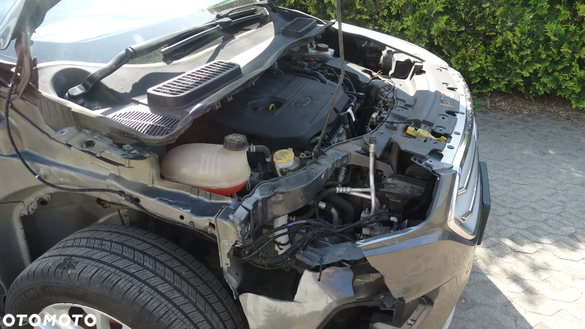 Ford Kuga 1.5 EcoBoost AWD Trend ASS - 21