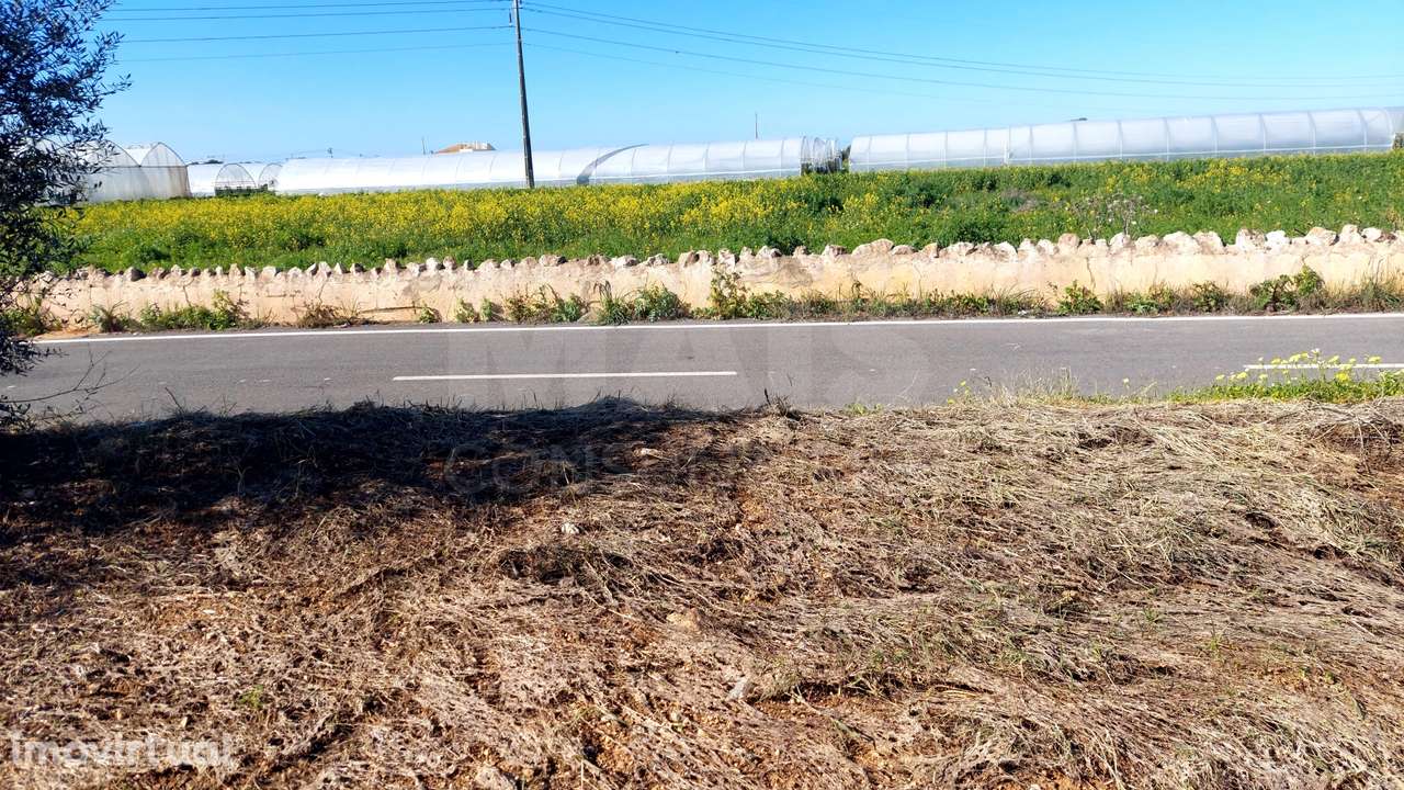 Lote de Terreno Rustico - Grande imagem: 5/6