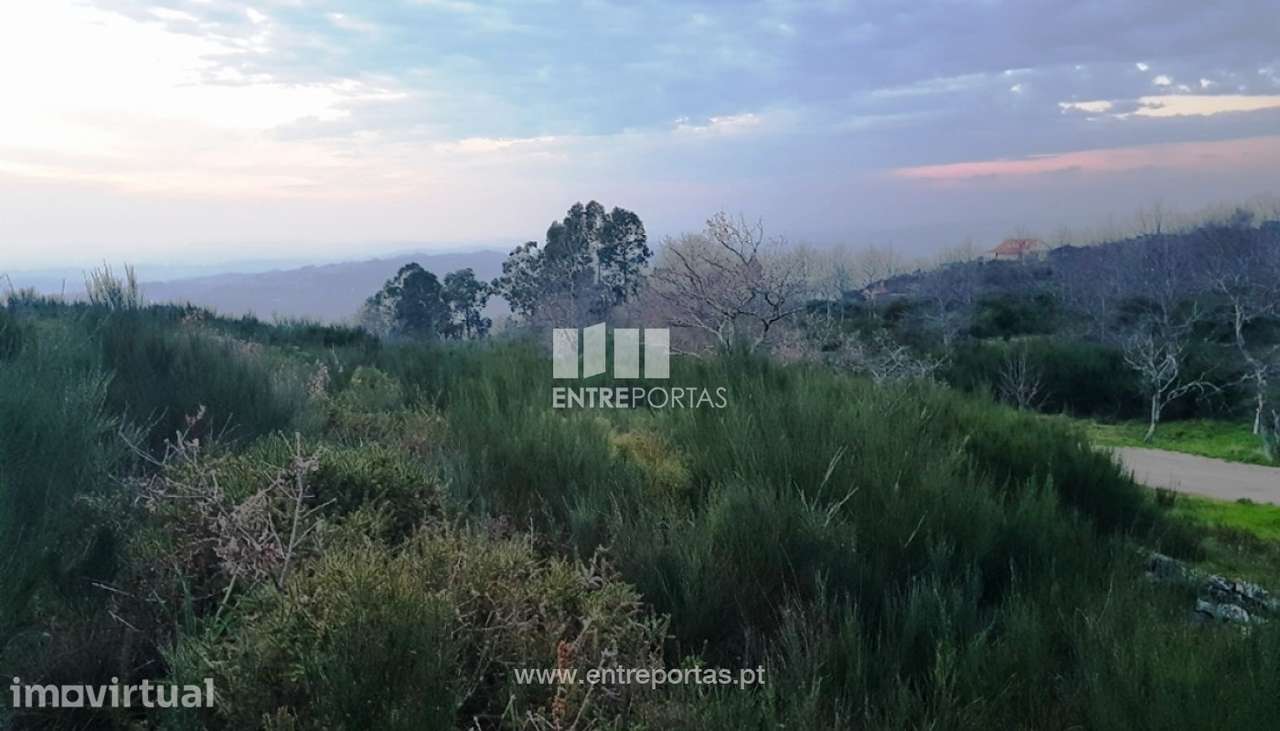 Venda Terreno, Várzea de Ovelha e Aliviada, Marco de Canaveses - Grande imagem: 4/10
