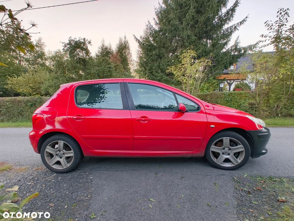 Peugeot 307 - 3