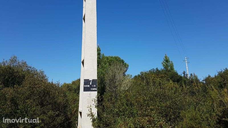 Cartaxo-Arrendo terreno - Grande imagem: 4/5
