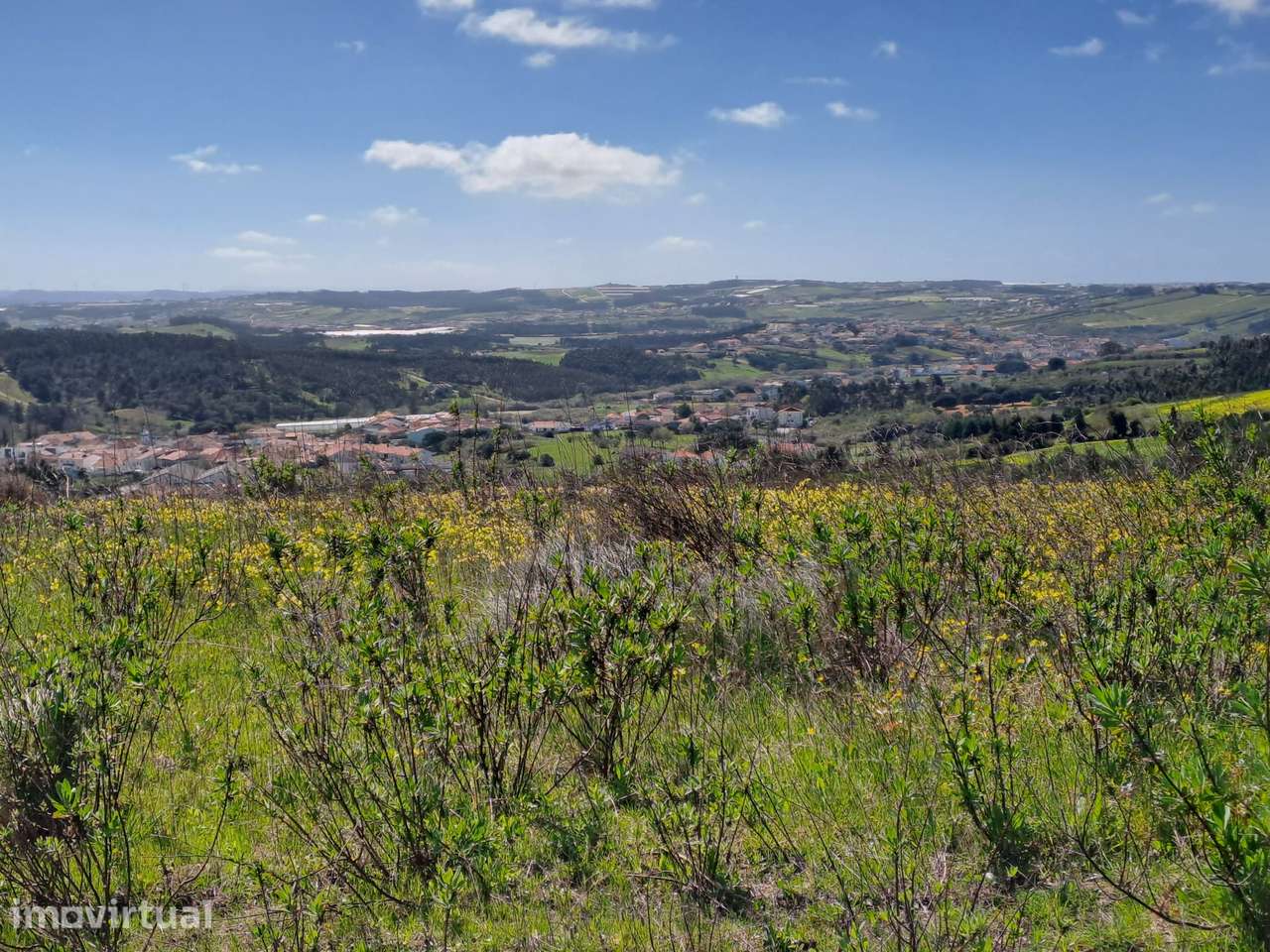 Terreno Agrícola com 26.760 m² no Vimeiro – Lourinhã - Grande imagem: 3/16