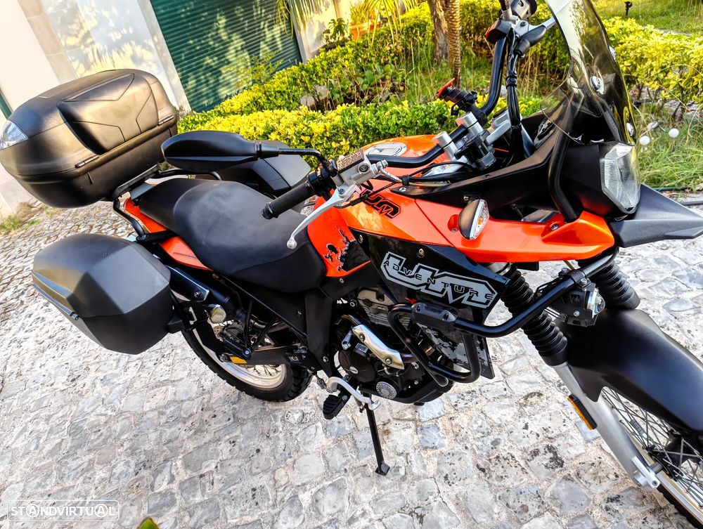 UM Dsr Adventure Adventure TT - 12