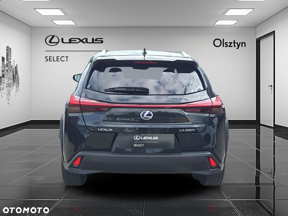 Lexus UX 250h GPF Business Edition 2WD - 4