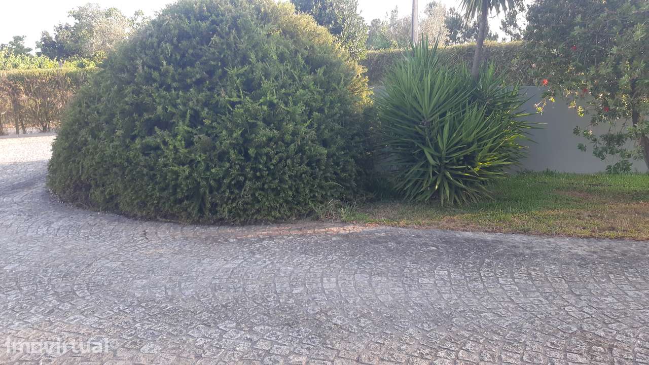 Quinta Vinícola do Dão - Grande imagem: 4/27