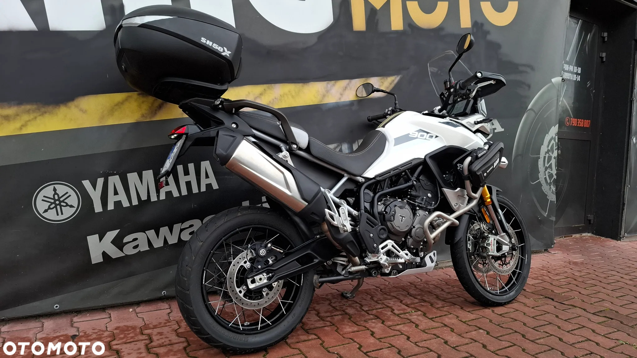 Triumph Tiger - 6