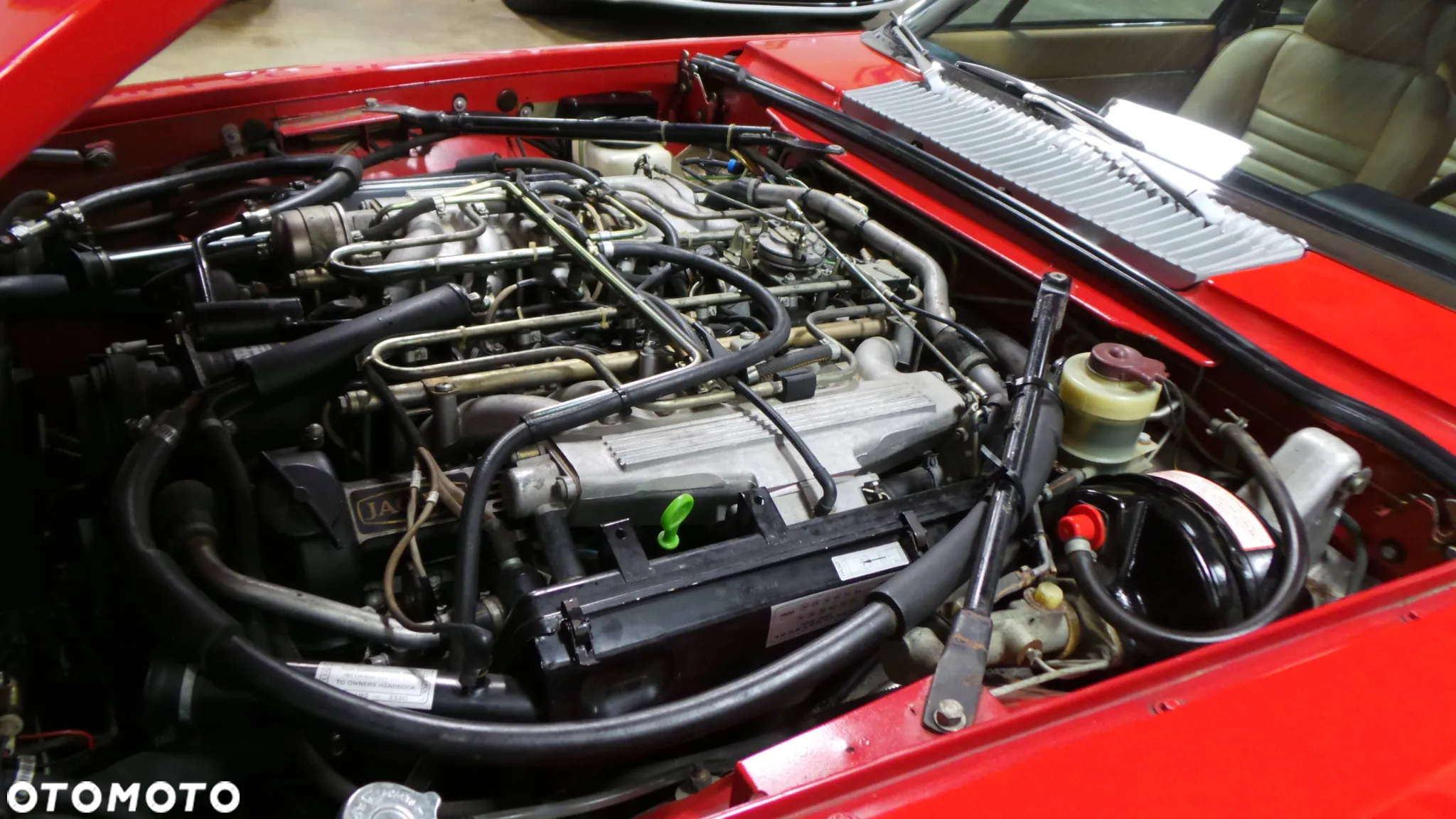 Jaguar XJS - 5