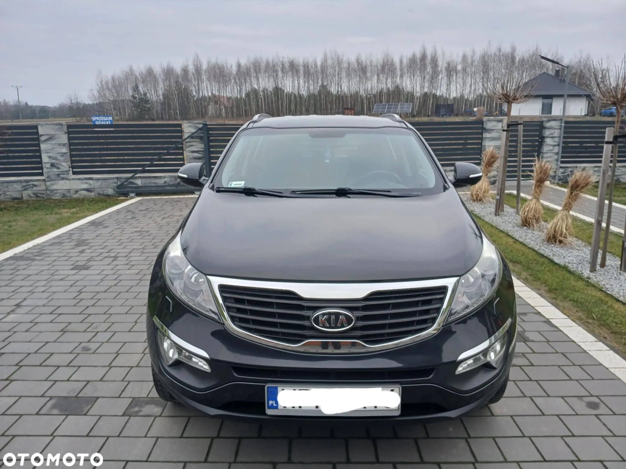 Kia Sportage - 3