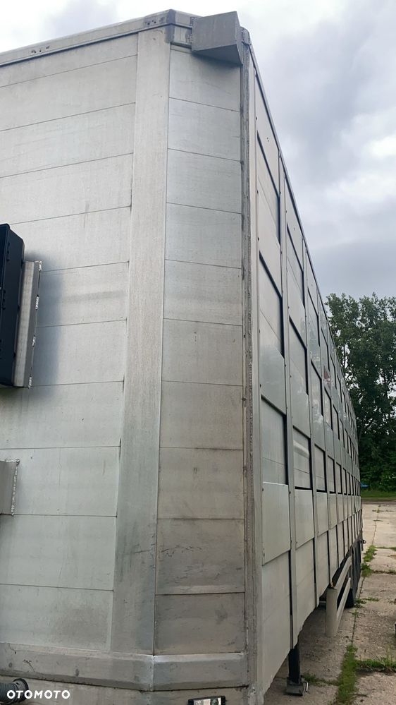 Mol Montull,Żywca Bydła,Tuczników,Zwierząt - 2