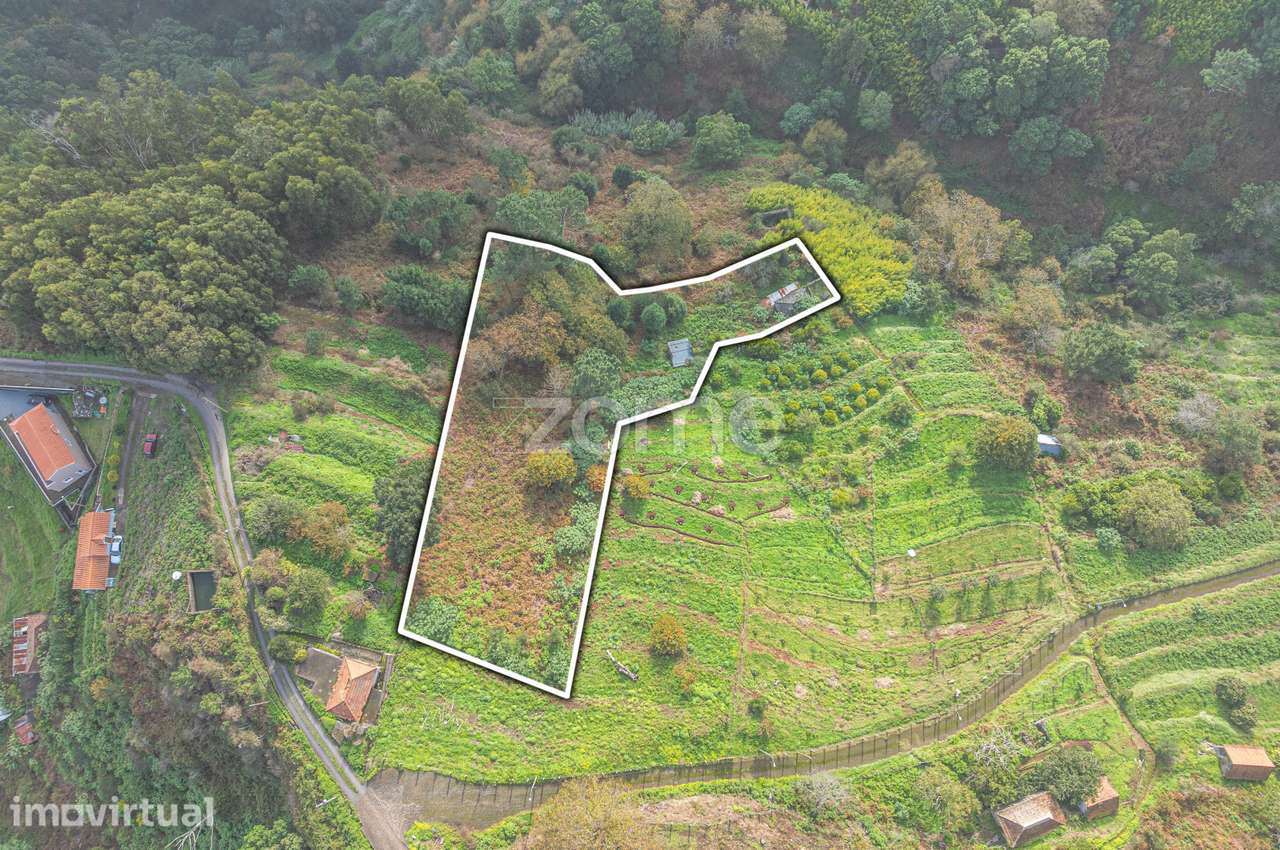 Moradia para recuperar com 2.600 m² de terreno em Santa Cruz - Grande imagem: 3/10