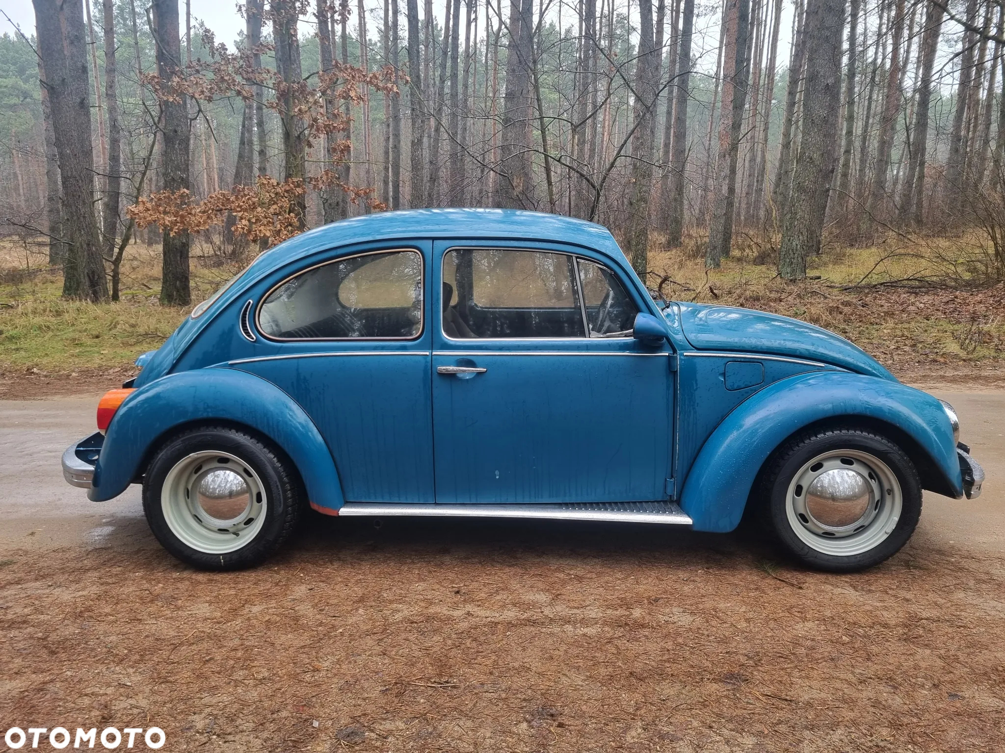 Volkswagen Garbus - 7