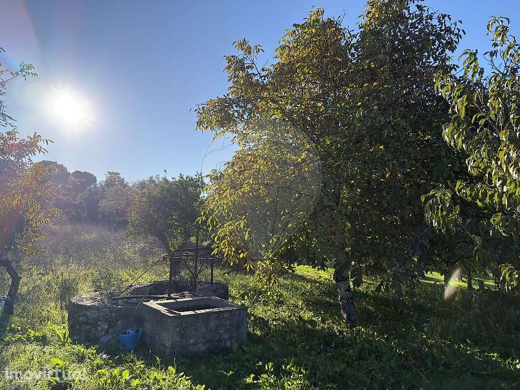 Terreno  para venda - Grande imagem: 3/12