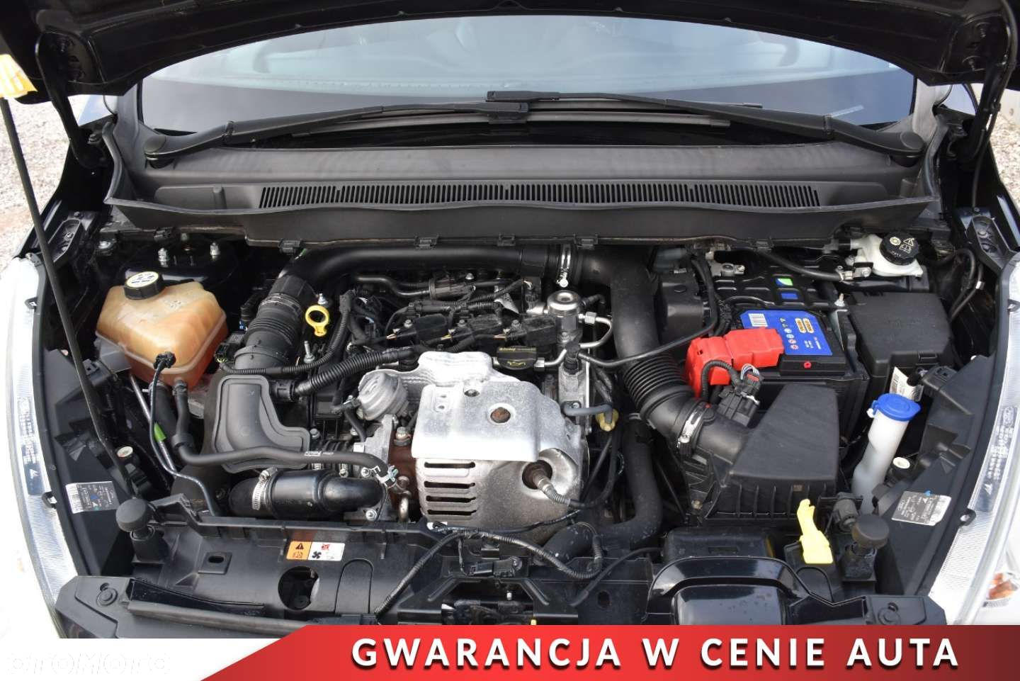 Ford B-MAX 1.0 EcoBoost Titanium - 24
