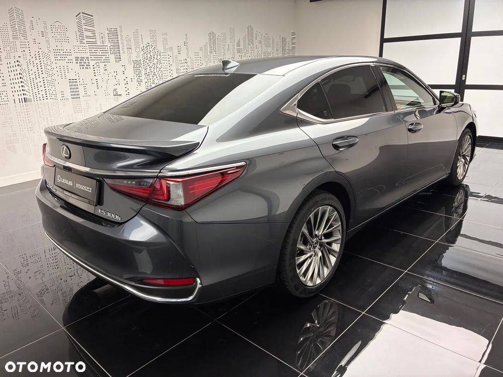Lexus ES 300h Omotenashi - 20