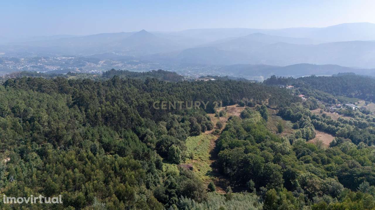 Moradia T3 para Reabilitar Terreno com 1,06 Ha  em Celorico de Basto - Grande imagem: 3/24