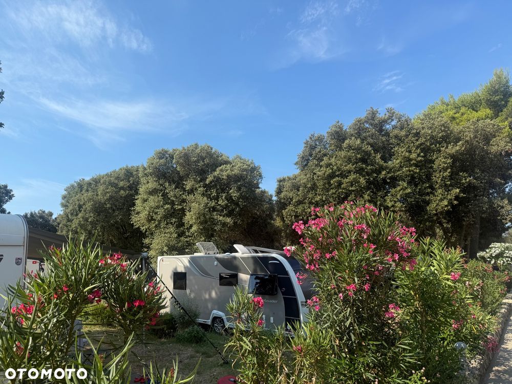 Elddis Crusader aurora - 4