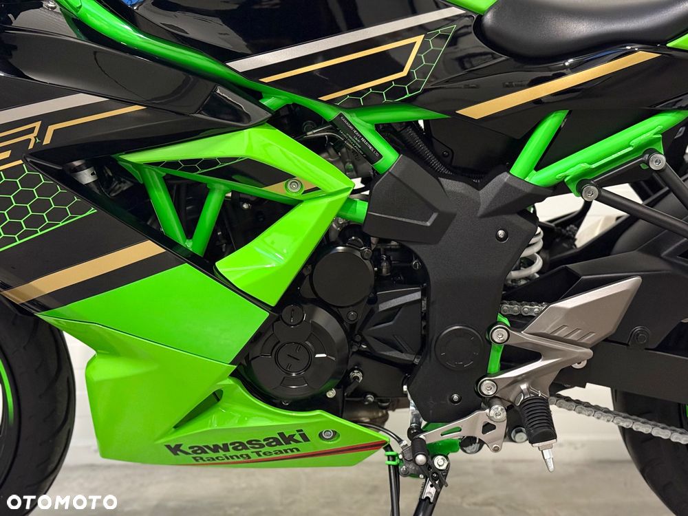 Kawasaki Ninja - 30