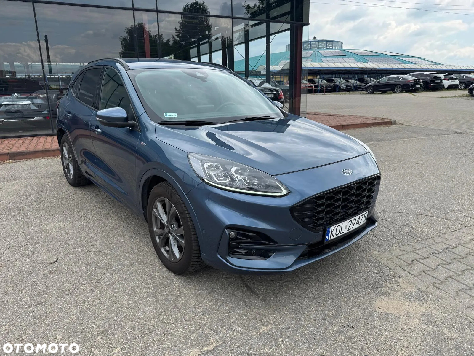 Ford Kuga 2.0 EcoBlue Hybrid ST-LINE - 6