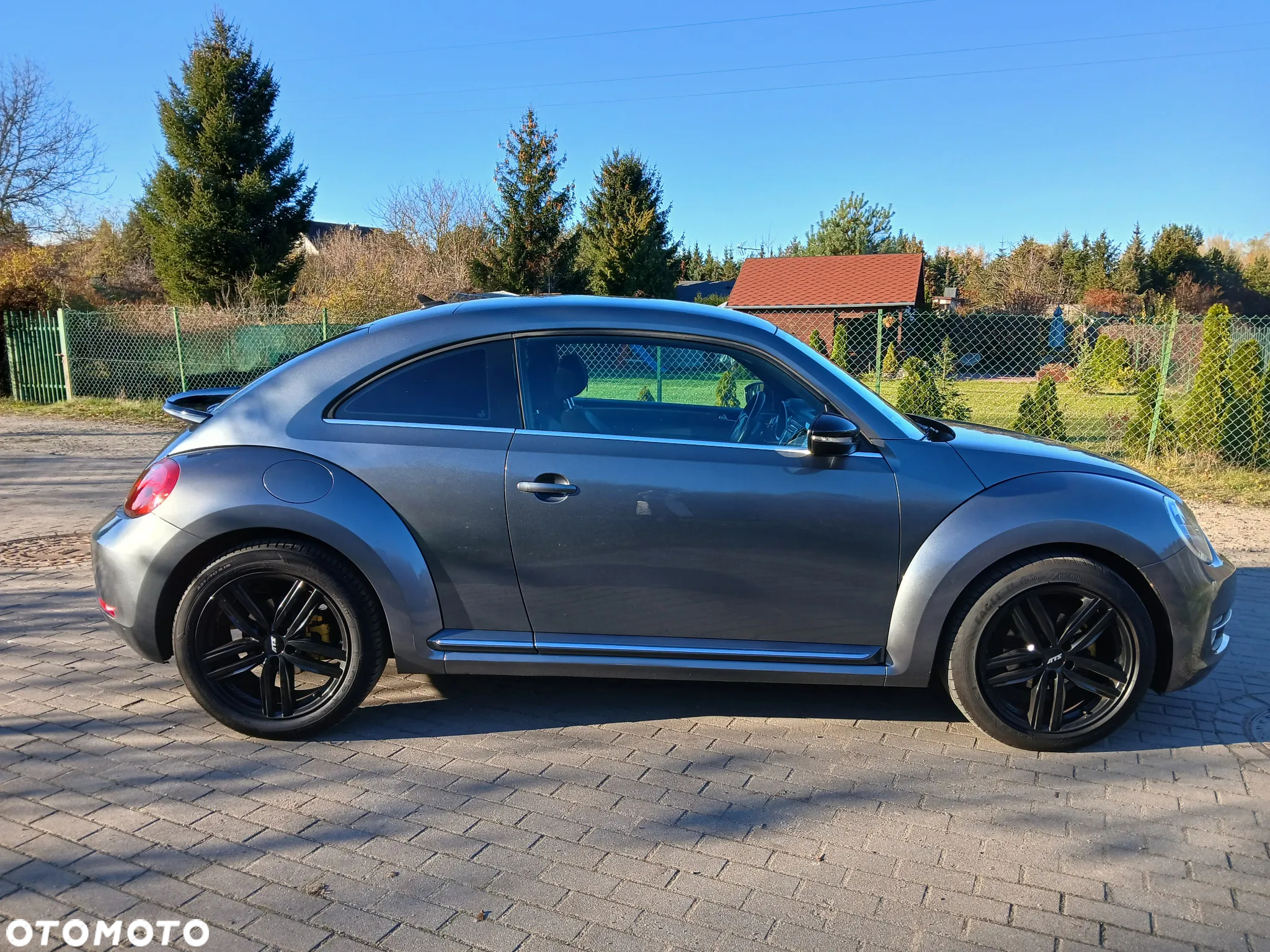 Volkswagen New Beetle - 6