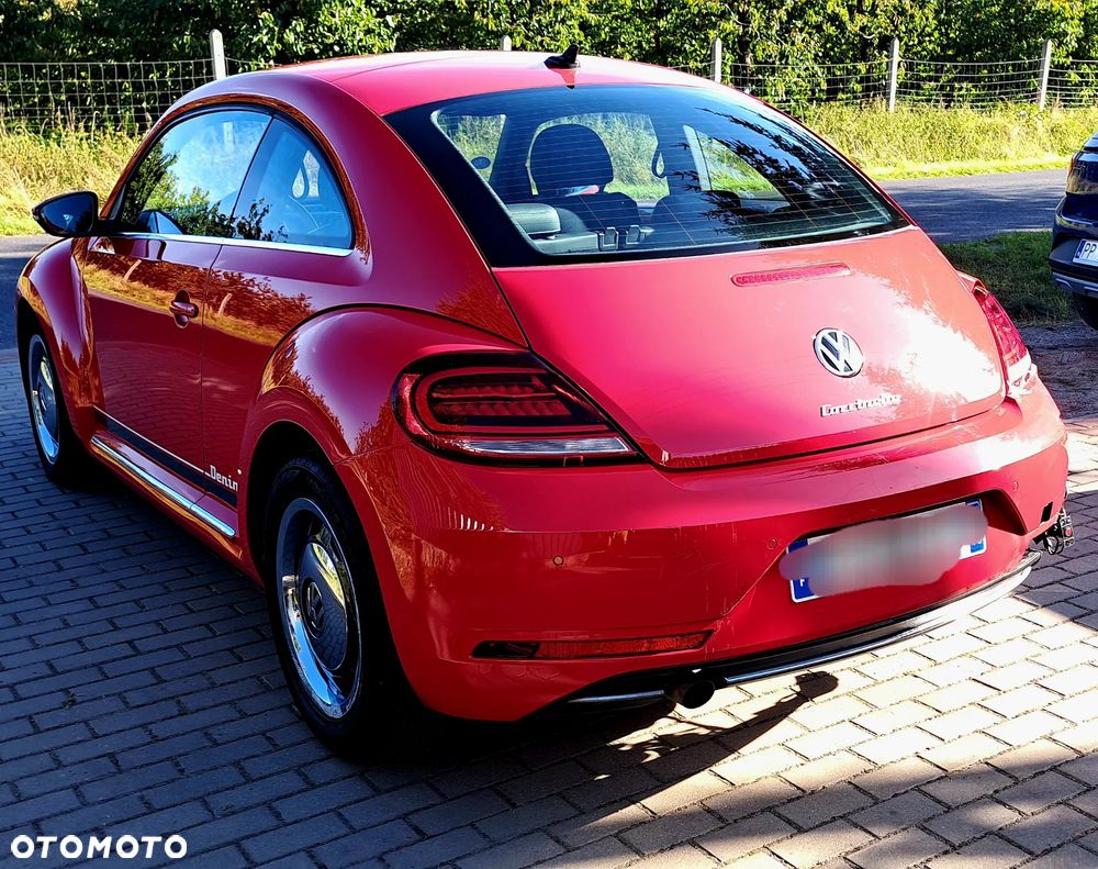 Volkswagen Beetle - 1