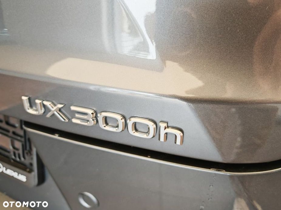 Lexus UX 300h F Sport Design - 7