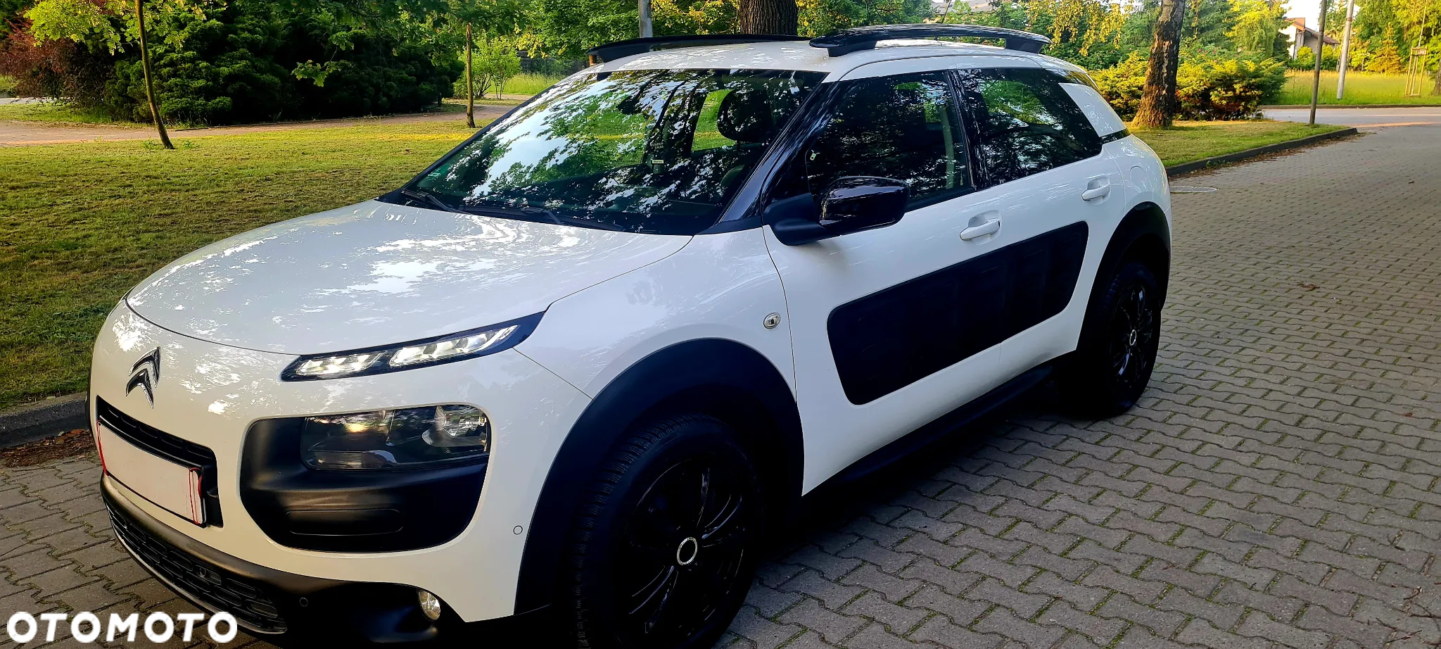 Citroën C4 Cactus 1.2 PureTech GPF Shine Pack S&S - 8