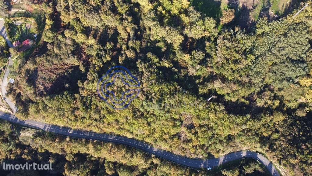 Terreno - Vale do Mato - Grande imagem: 2/2