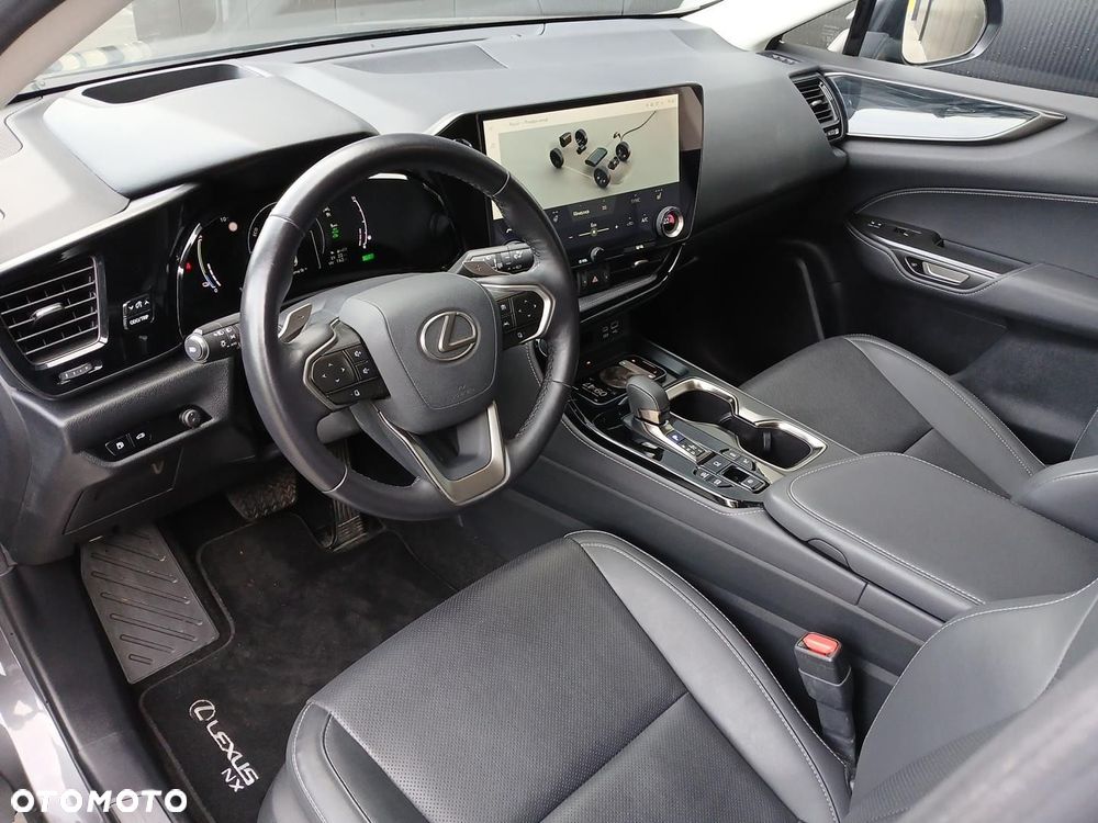Lexus NX - 10