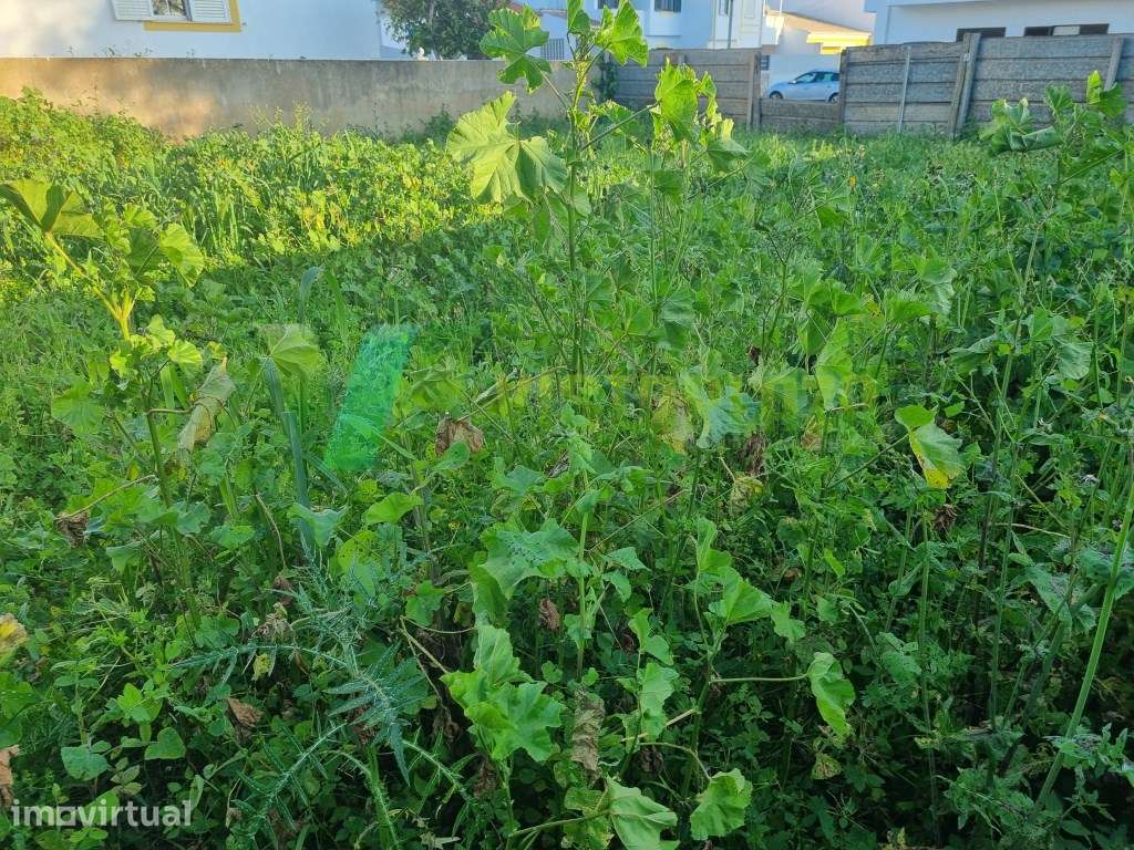 Lote Urbano para Construção entre Portimão e Alvor - Excelente Opor... - Grande imagem: 5/30