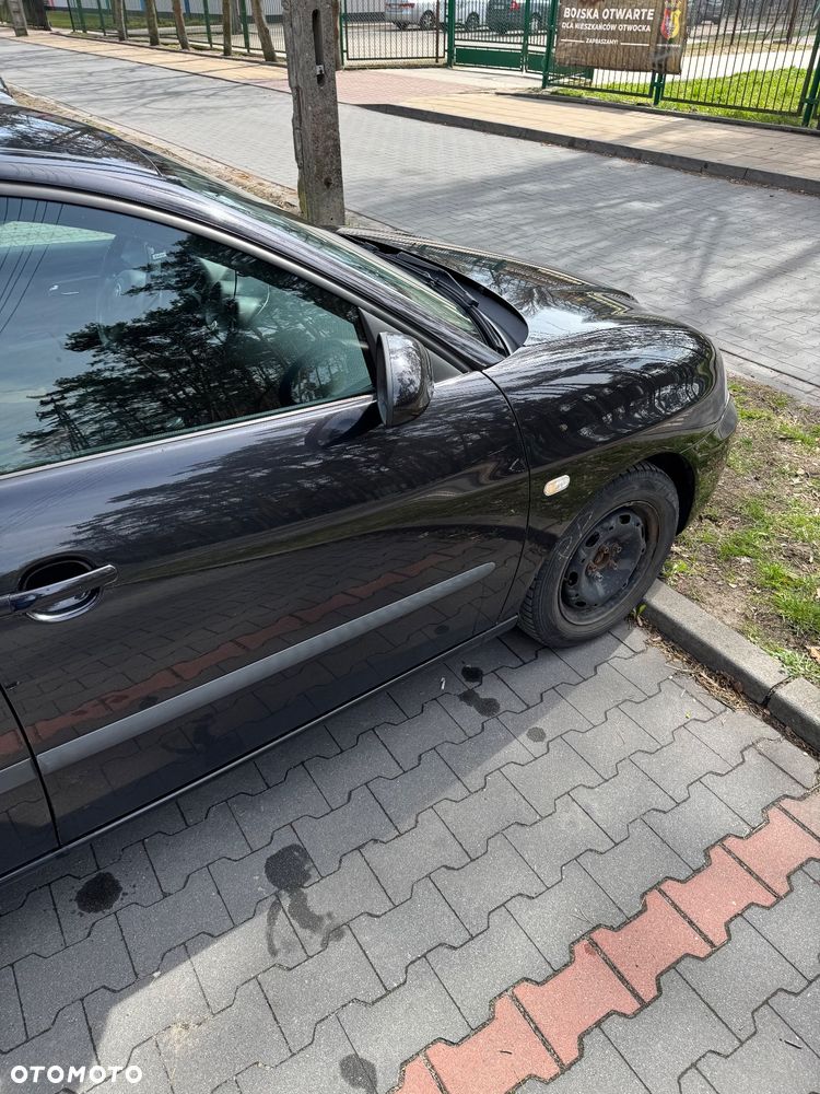 Seat Ibiza - 19