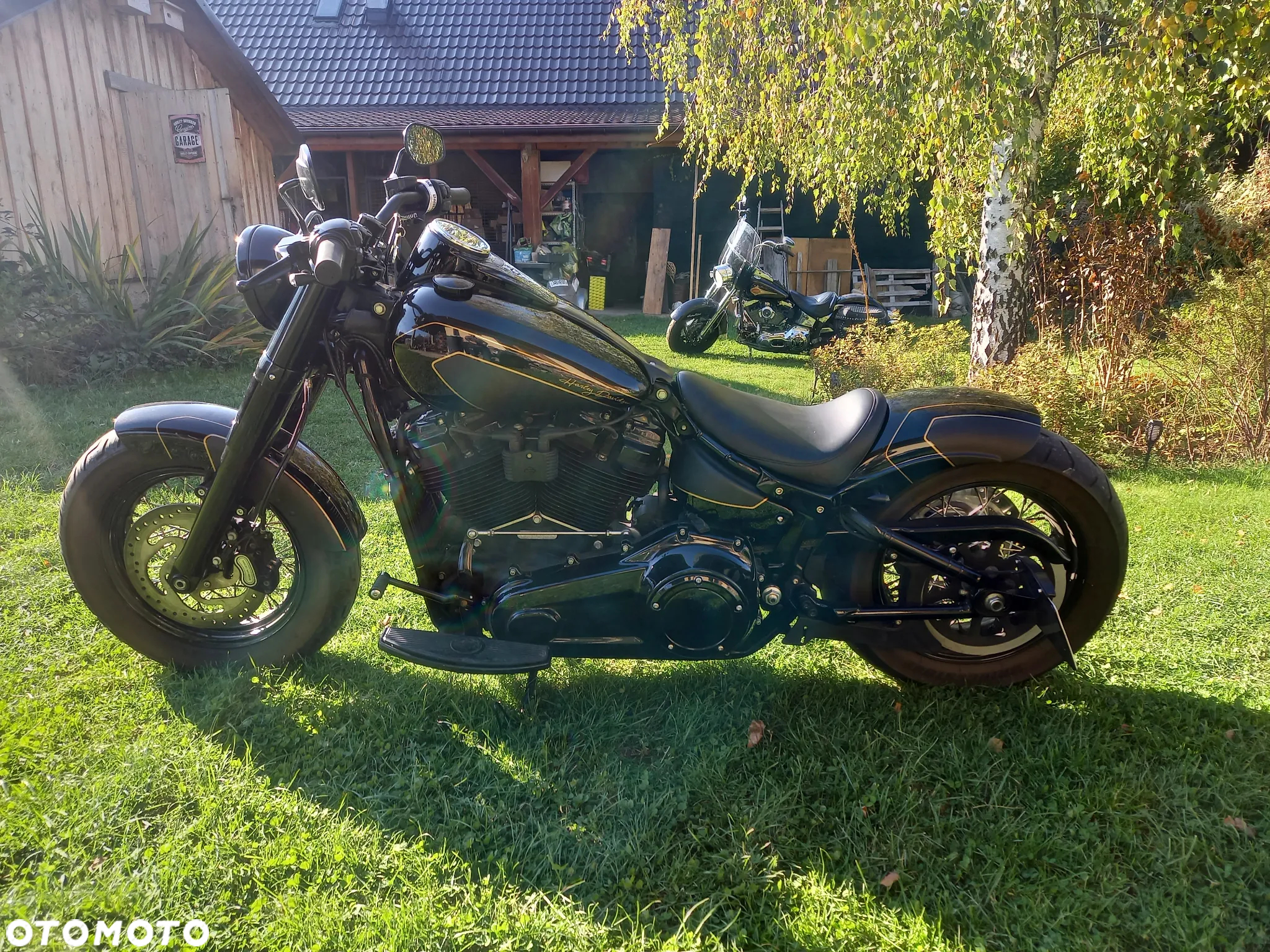Harley-Davidson Softail Slim - 6