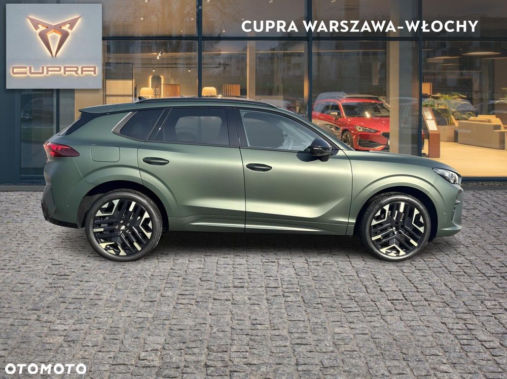 Cupra Terramar 2.0 TSI 4Drive Tribe Edition DSG - 7