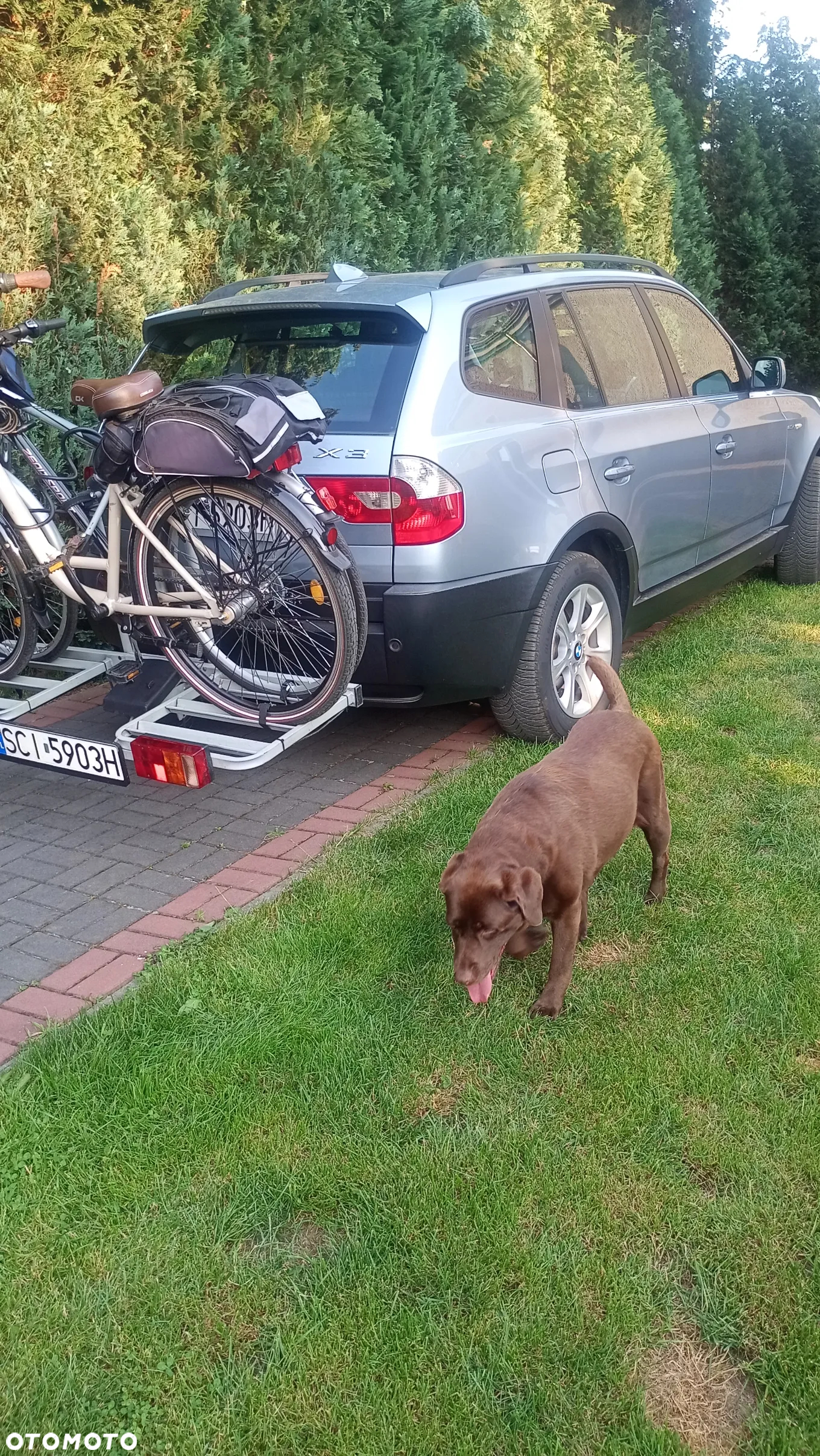 BMW X3 2.0d - 26
